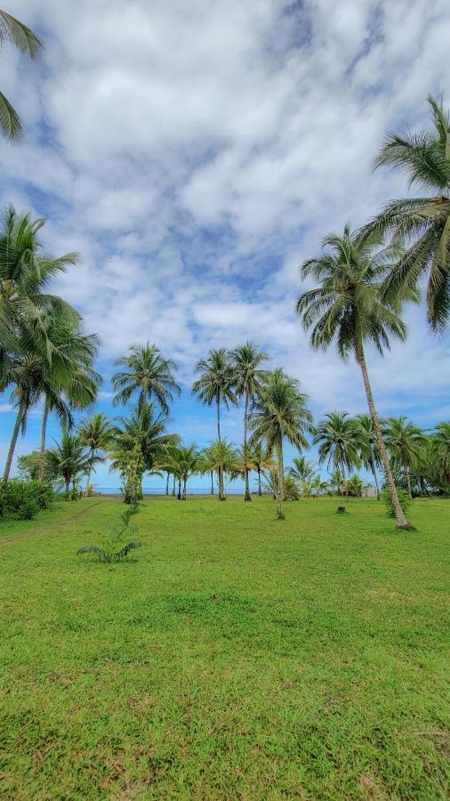 Coco Loco Lodge El Valle  エクステリア 写真